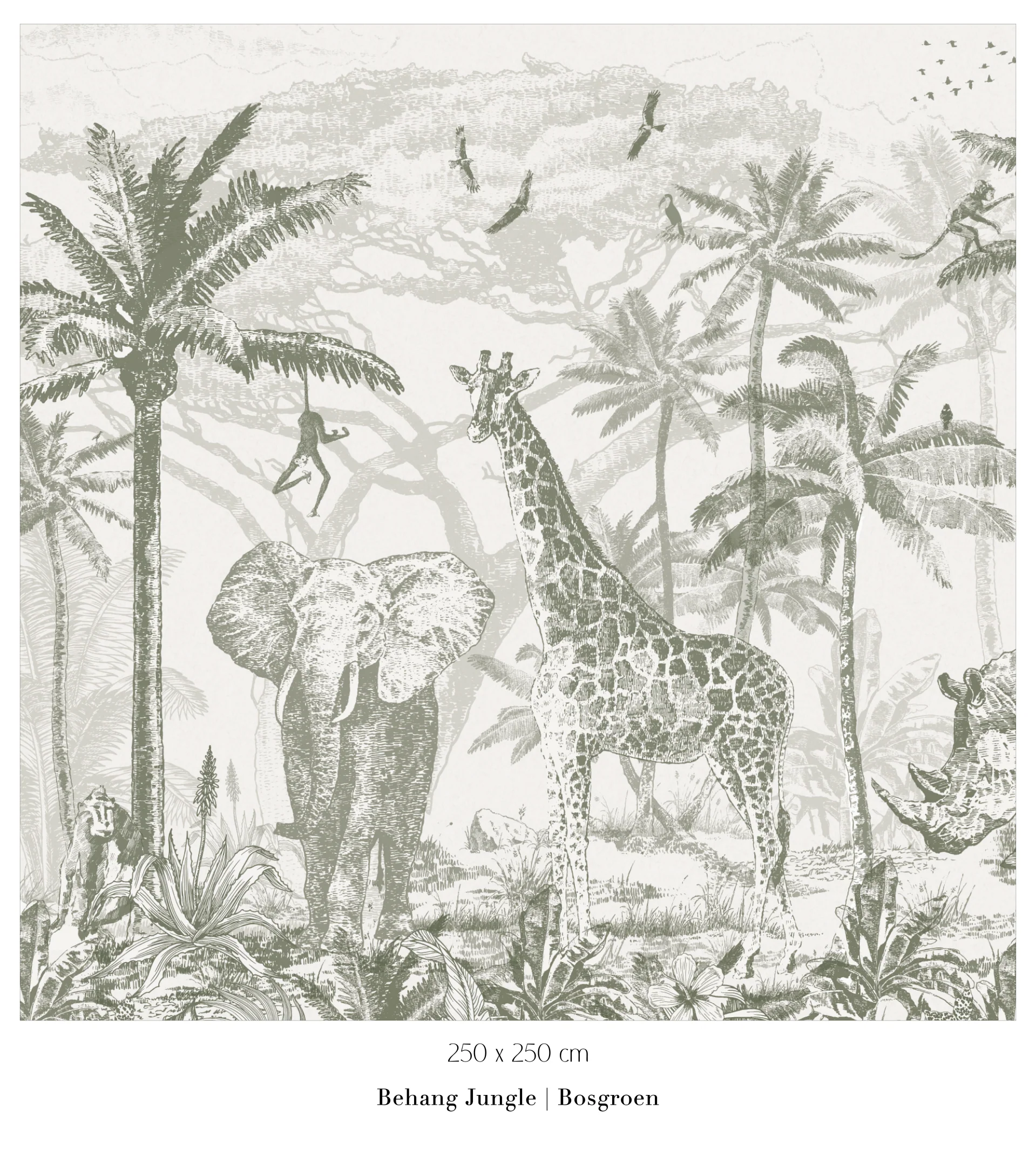 Productafbeelding 6